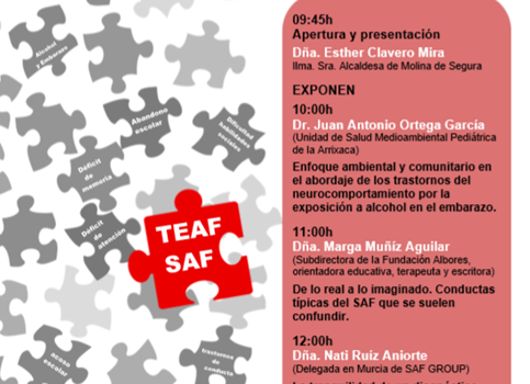 I Jornada TEAF/SAF Región de Murcia