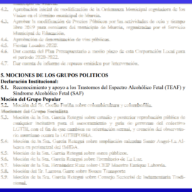 Declaración Institucional en el Pleno del Ayuntamiento de Murcia